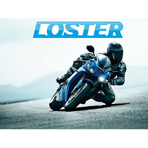 LOSTER
