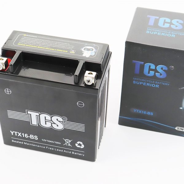 Аккумулятор TCS YTX16-BS
